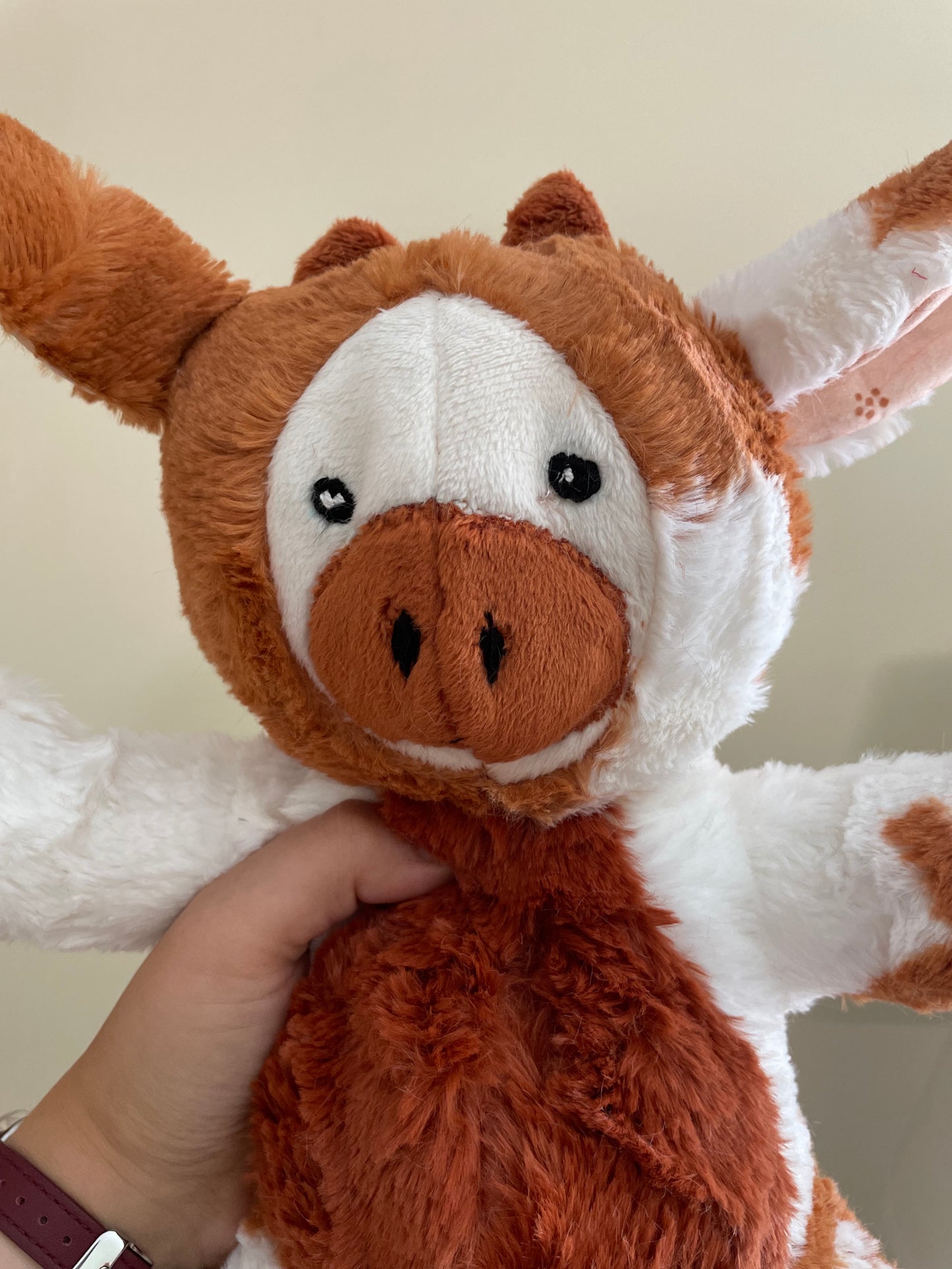 Pumpkin Spice Cow