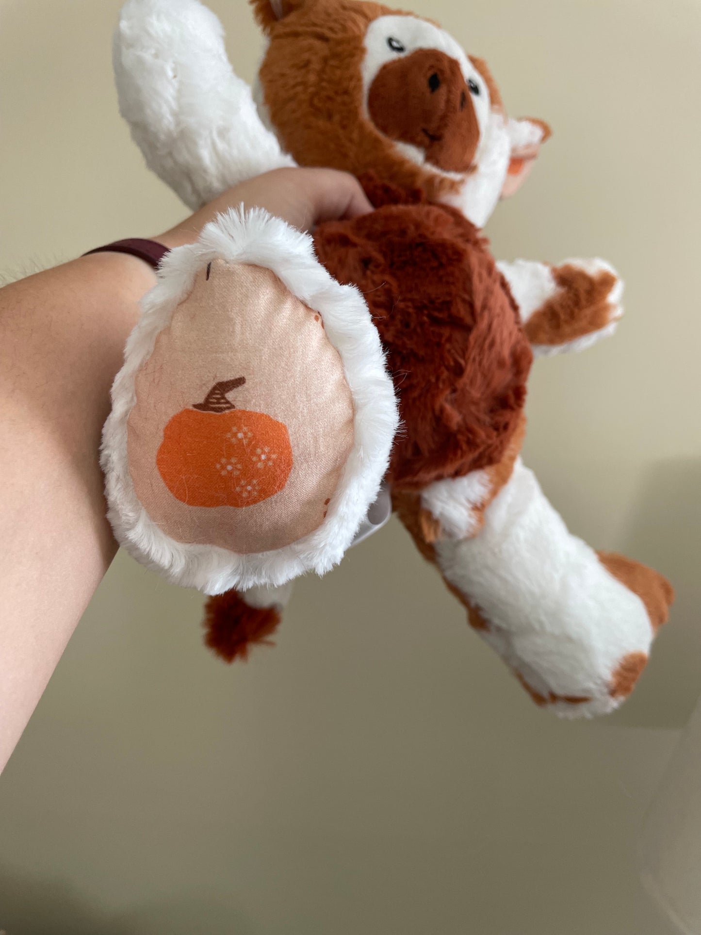 Pumpkin Spice Cow